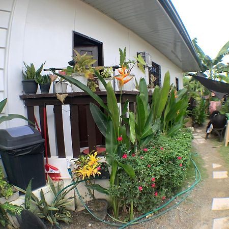 Jml Homestay General Luna  Exteriér fotografie