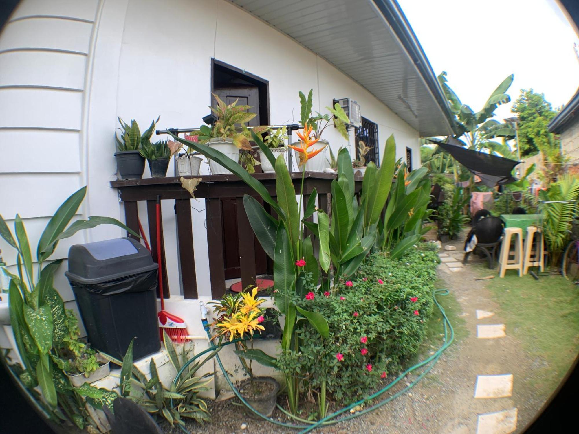 Jml Homestay General Luna  Exteriér fotografie