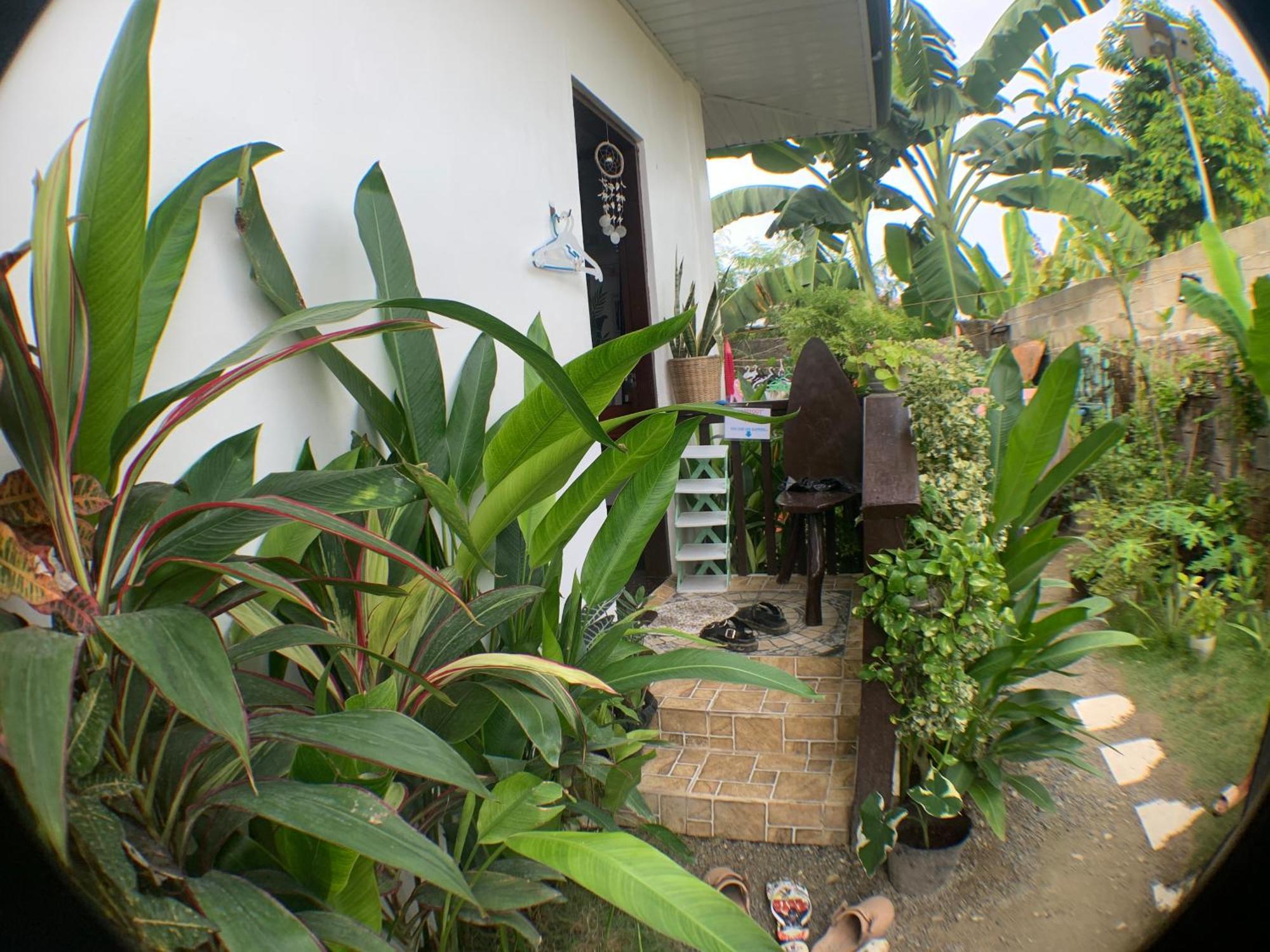 Jml Homestay General Luna  Exteriér fotografie